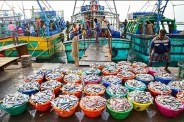 Indian seafood exports