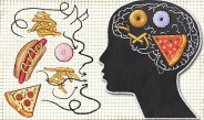 Processed junk food impact on brain