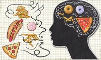 Processed junk food impact on brain