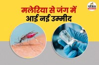 malaria drug,new malaria treatment,malaria resistance,treatment for malaria,artemisinin resistance,Novartis malaria new drug,