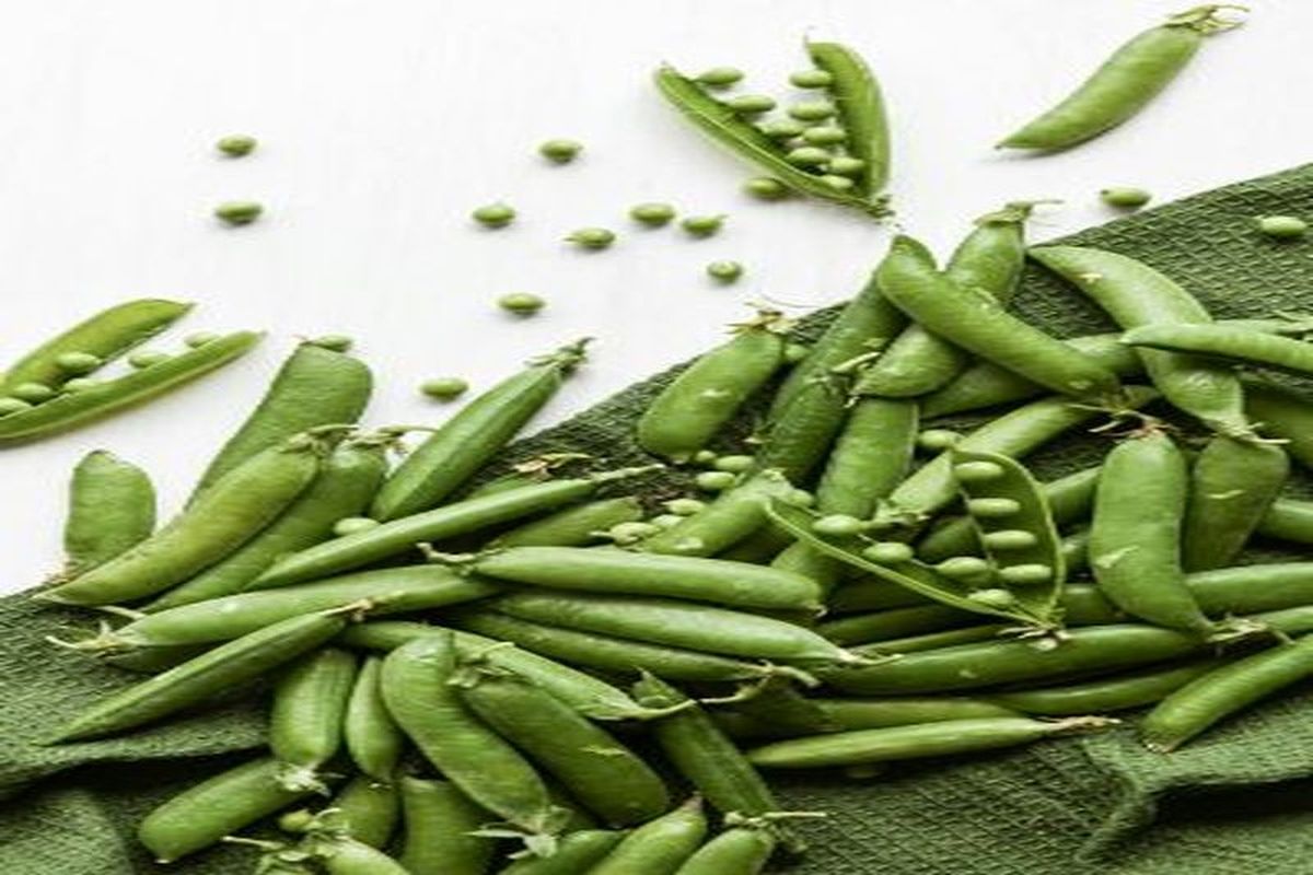 महंगाई की मार: सर्दी की सब्जियां तो आई, मगर आमजन की थाली से दूर हुए मटर, पालक व मैथी | Patrika News