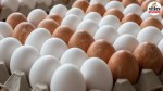 moradabad up fake desi eggs raid 4 lakh eggs seized