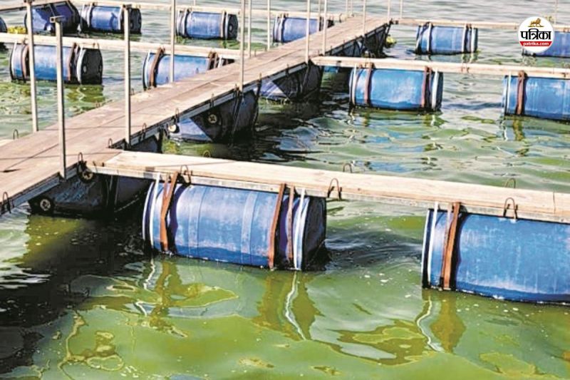 Asia largest earthen dam is in Rajasthan morel dam Dausa water color changing find out who is responsible