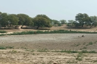 दरबारी झील अब ऐसी नजर आती है।