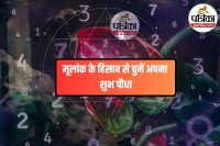 Number-based plant for home, Plant for your destiny numerology, Numerology and home greenery,