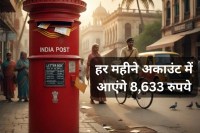 Post Office MIS Calculator