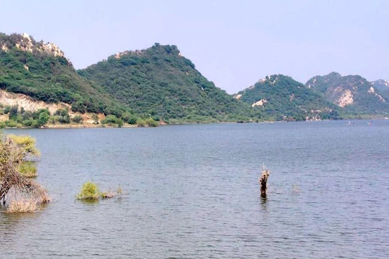 प्रदेश में 23 साल बाद फिर से मत्स्य पालन विभाग संभालेगा जिम्मेदारी, करेगा ठेके