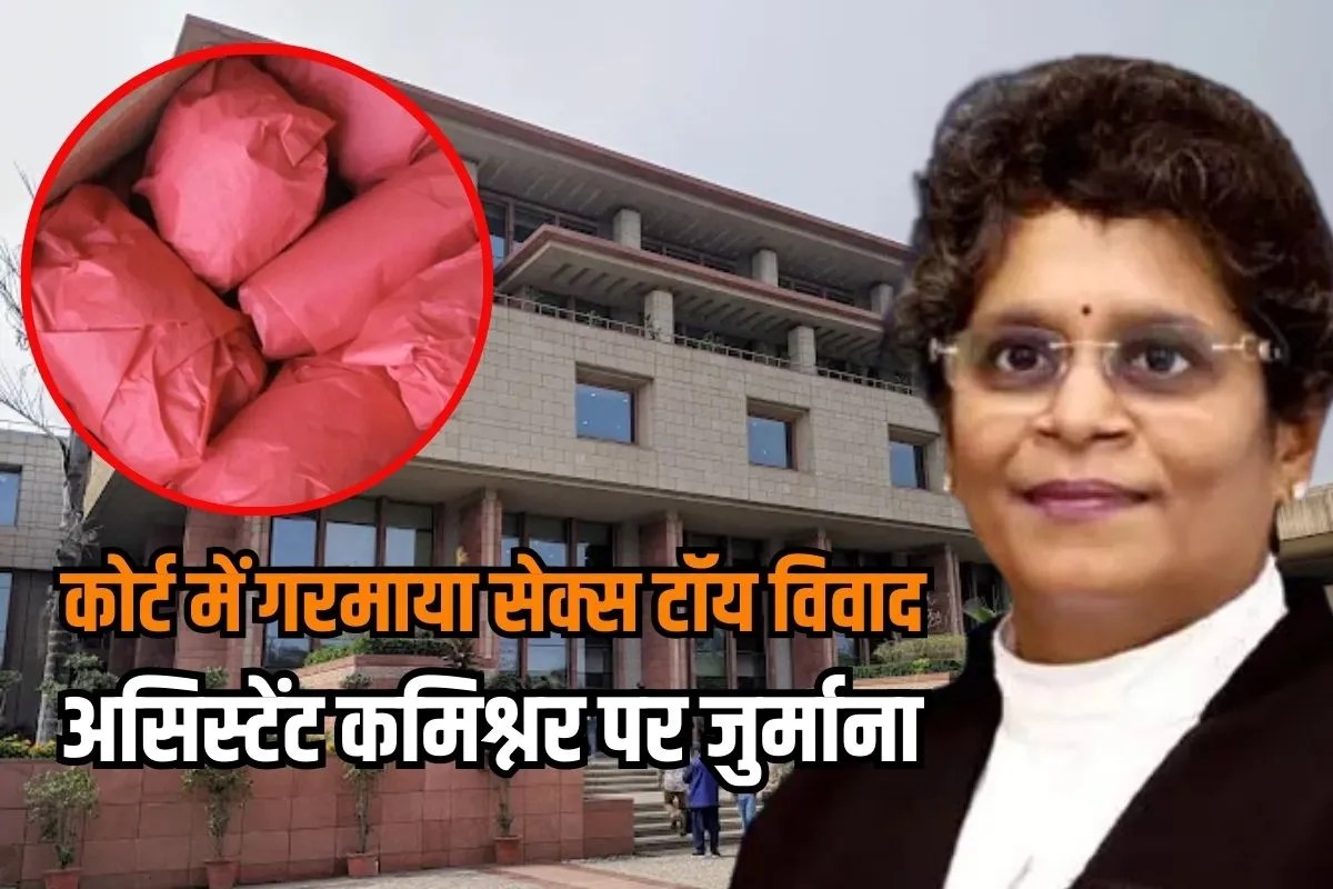 Delhi High Court order Rs 50,000 fine on customs Assistant Commissioner on sex toys import Case controversy