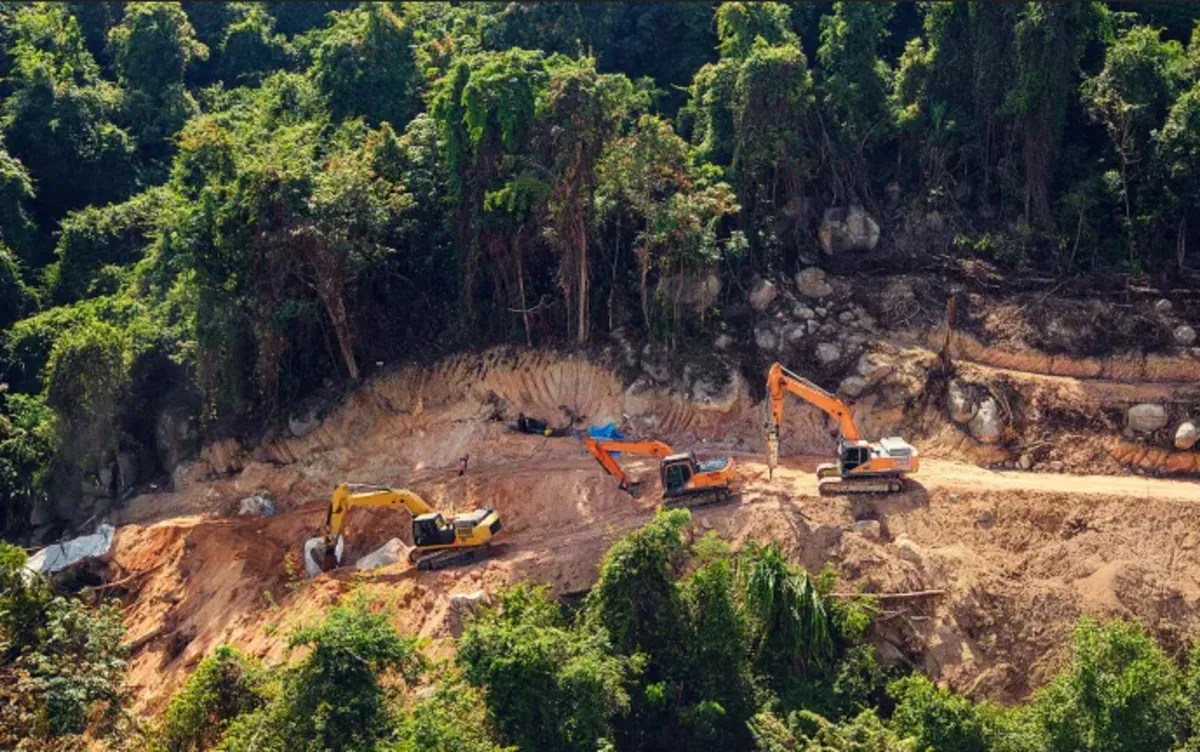 MP High Court on tree Cutting