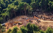 MP High Court on tree Cutting