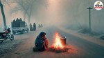 up weather alert fog cold wave temperature drop uttar pradesh latest news