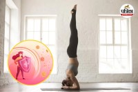 Yoga For Immunity Booster, yoga, yoga for healthy lifestyle, Yoga for immunity,