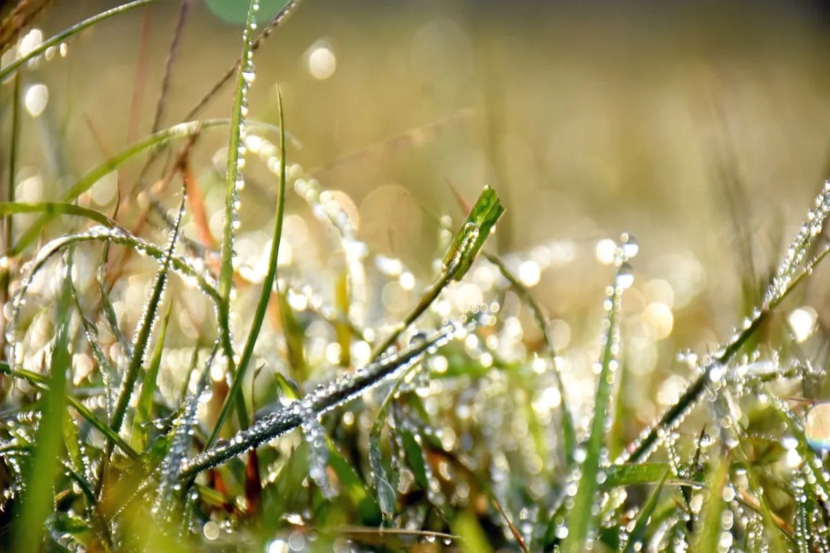 कड़ाके की ठंड ने बढ़ाई सिहरन (फोटो सोर्स : Patrika)