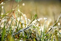 कड़ाके की ठंड ने बढ़ाई सिहरन (फोटो सोर्स : Patrika)