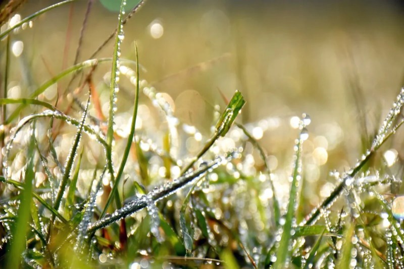 कड़ाके की ठंड ने बढ़ाई सिहरन (फोटो सोर्स : Patrika)