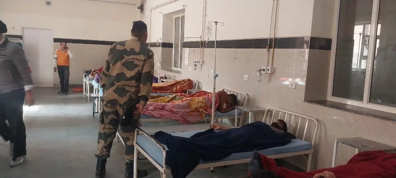 BSF भर्ती के दौरान मधुमक्खियों का हमला, 18 अभ्यर्थी घायल