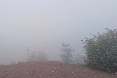 Short video poster image