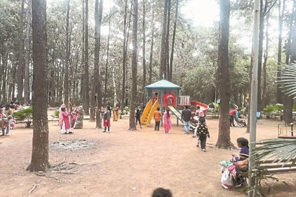 Winter Hangout Spot Bastar