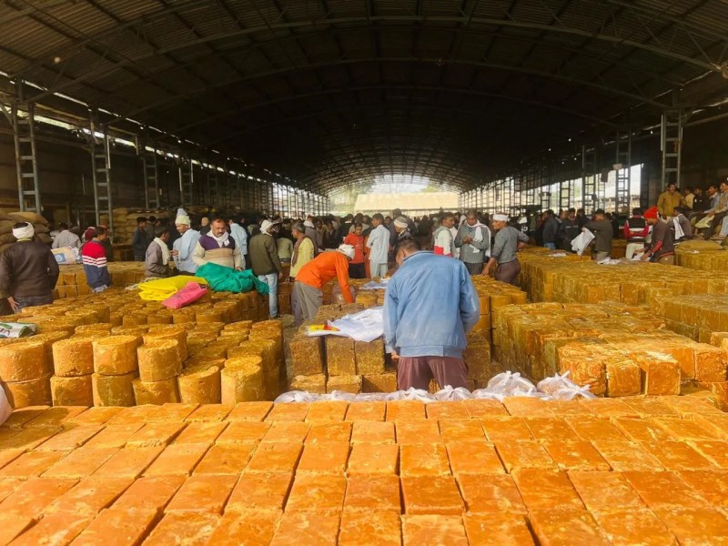 गुरुवार को नरसिंहपुर मंडी के शेड में बिकने पहुंचा गुड़।