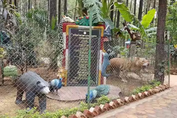 Winter Hangout Spot Bastar