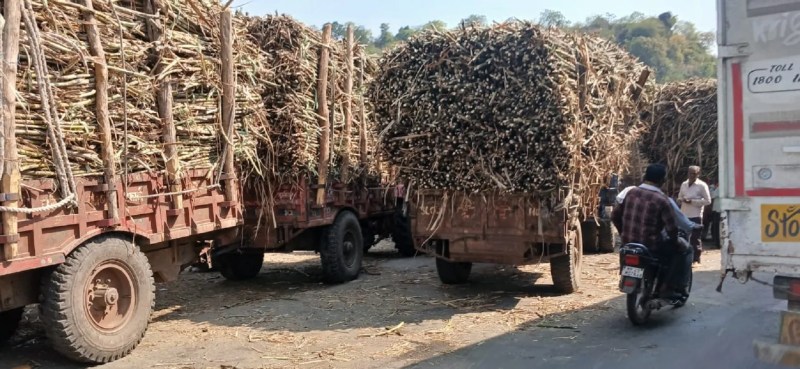 जिले में इस तरह ट्रैक्टर-ट्रॉलियां जोखिम बढ़ा रहीं हैं।