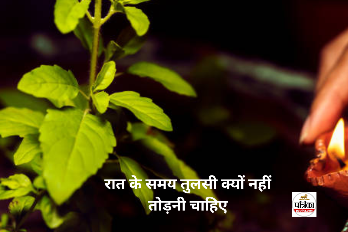 Tulsi Niyam