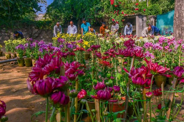 Flowers exibition in jaipur 