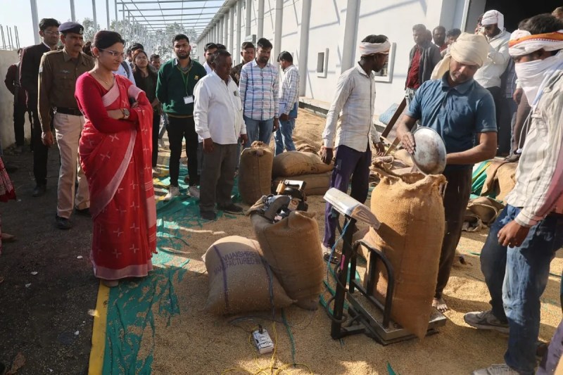 procurement centres.