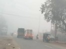 fog in bhind