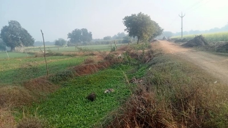 थ्री-आर नहर गोरमी