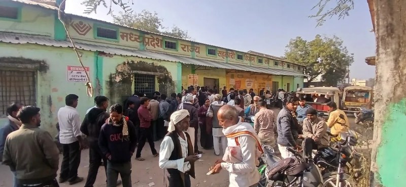 farmers waiting for tokens.