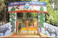 लामनी पार्क का बढ़ता क्रेज (photo source- Patrika)