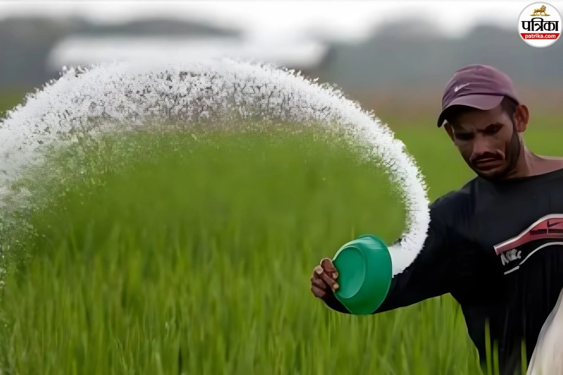 Rajasthan farmers