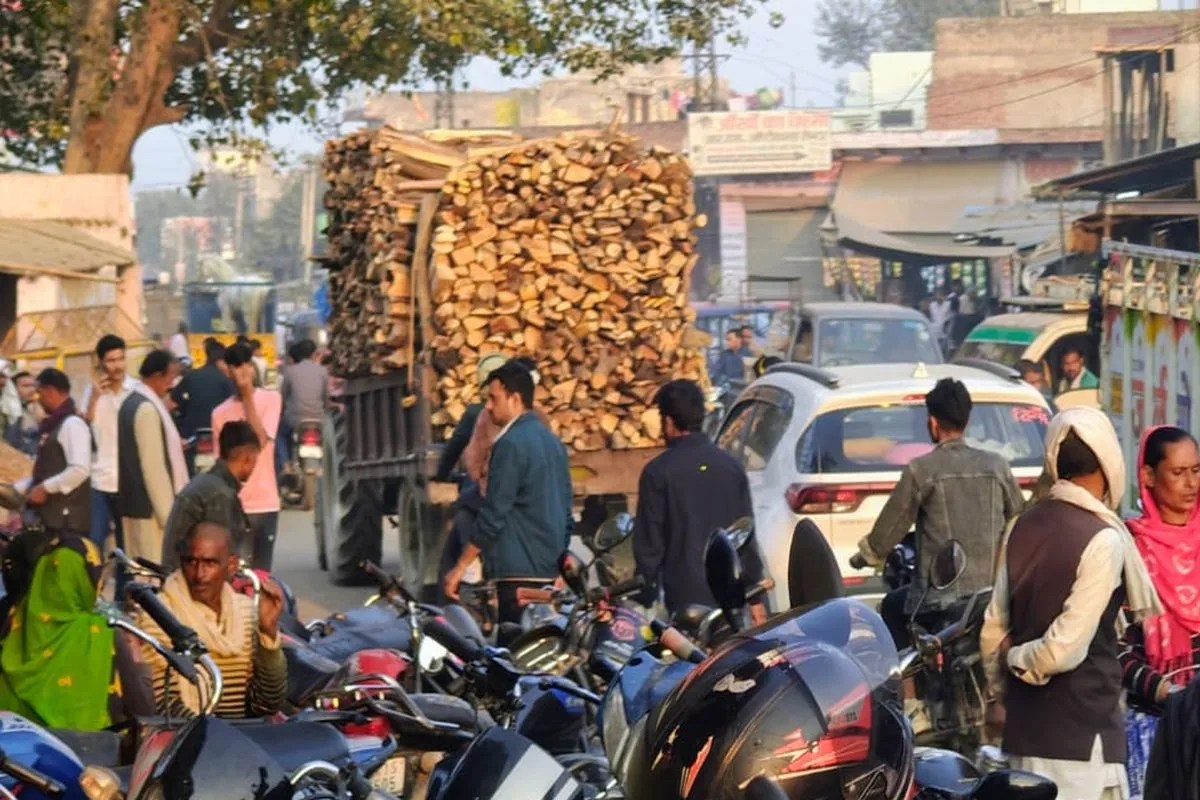 हरियाली पर चल रही आरी...पर्यावरण हो रहा प्रदूषित The saw is being used on greenery...the environment is getting polluted