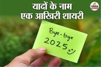 Goodbye 2025 Status, Alvida 2025, Bye Bye 2025 messages,