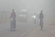 cold wave(फोटो- ANI)
