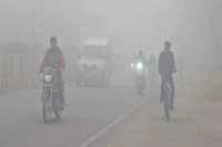 cold wave(फोटो- ANI)