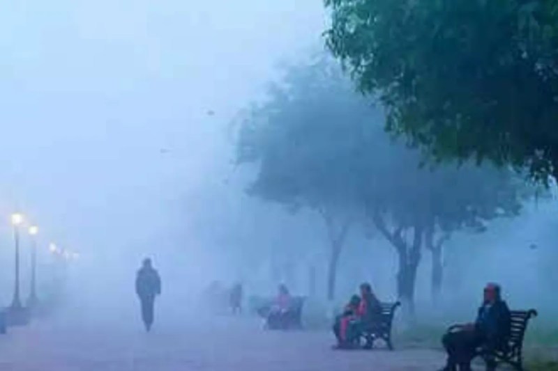 जबरदस्त कोहरा फोटो सोर्स पत्रिका