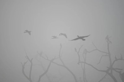 यूपी में कड़ाके की सर्दी का कहर (फोटो सोर्स : Ritesh Singh )