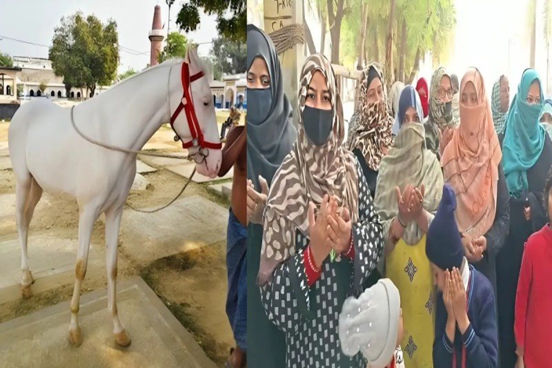 तालकटोरा कर्बला से गायब, खोजने वाले को 50 हजार रुपये इनाम की घोषणा (Source: Police Media Cell)