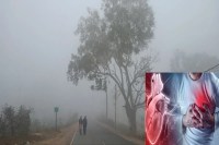 लखनऊ समेत प्रदेश भर में सर्दी बनी जानलेवा (फोटो सोर्स : Ritesh Singh )