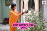 Tulsi Pujan Diwas Upay 2025