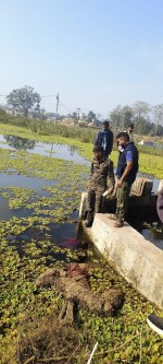 रामपायली थाना क्षेत्र के ग्राम सालेबर्डी का मामला