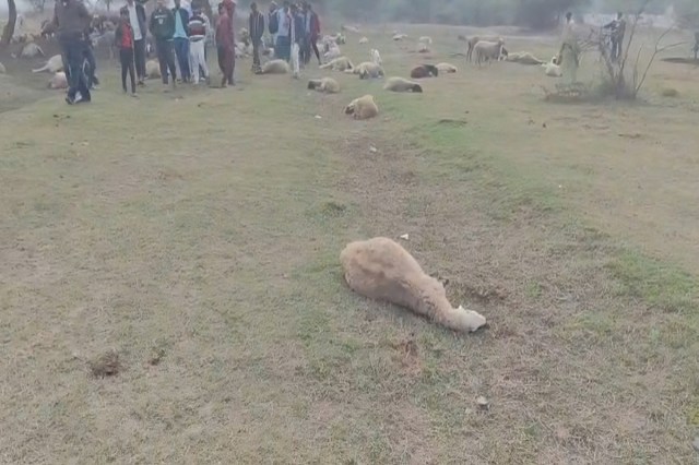  सीएम योगी की पहल, 8.70 लाख मुआवजा वितरित