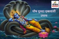 Pausha Putrada Ekadashi Upay 2025