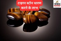 Tiger Eye stone