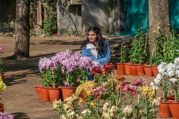 Flower exibition in rajasthan university