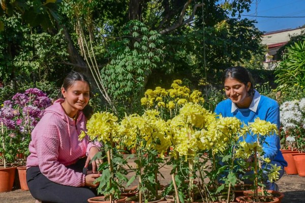 Flower exibition in rajasthan university
