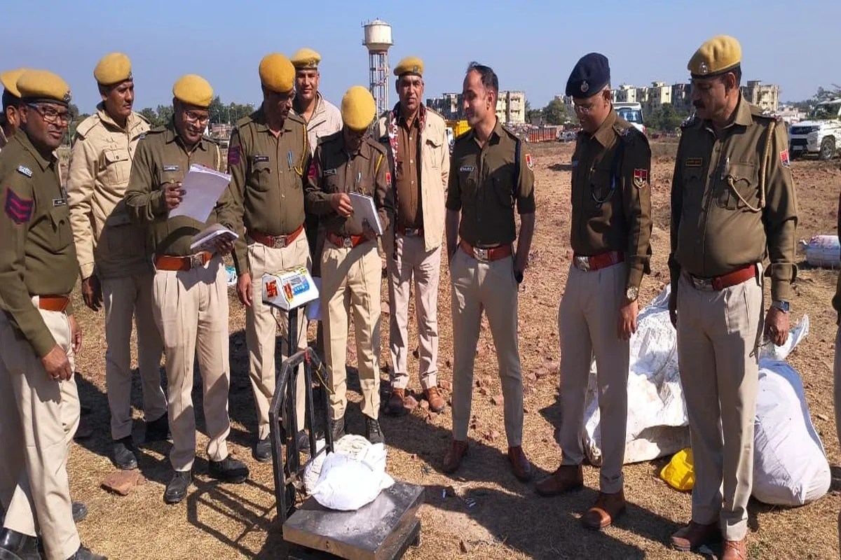 पुलिस ने 5 क्विंटल से अधिक अवैध गांजा कराया नष्ट Police destroyed more than 5 quintals of illegal marijuana