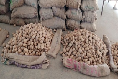 Short video poster image